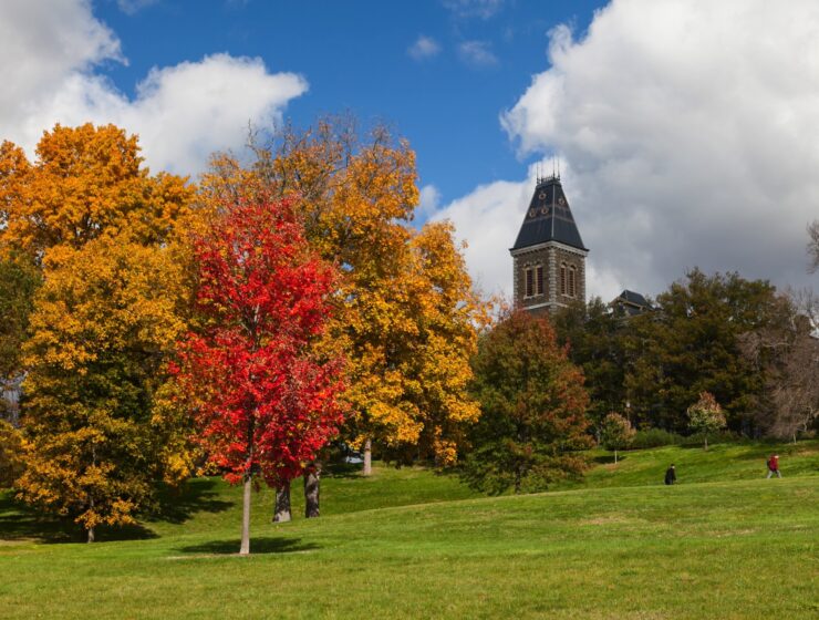On Some College Campuses, a Focus on Asian American Mental Health