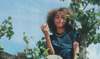 young-girl-in-tree-crop