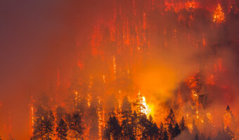wildfires-lrg