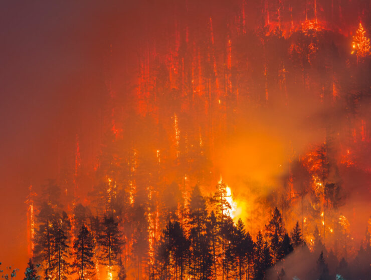 wildfires-lrg