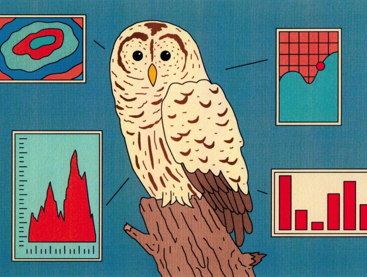 Scientists Study the Wise Brain